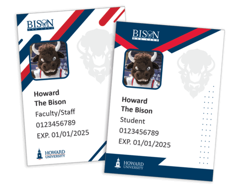 Bison One Card virtual examples